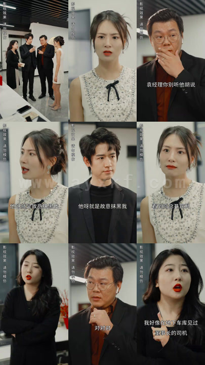 3319-冒牌总裁(100集)