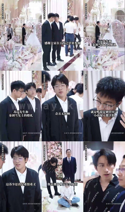 2035-狂飙之傻婿觉醒