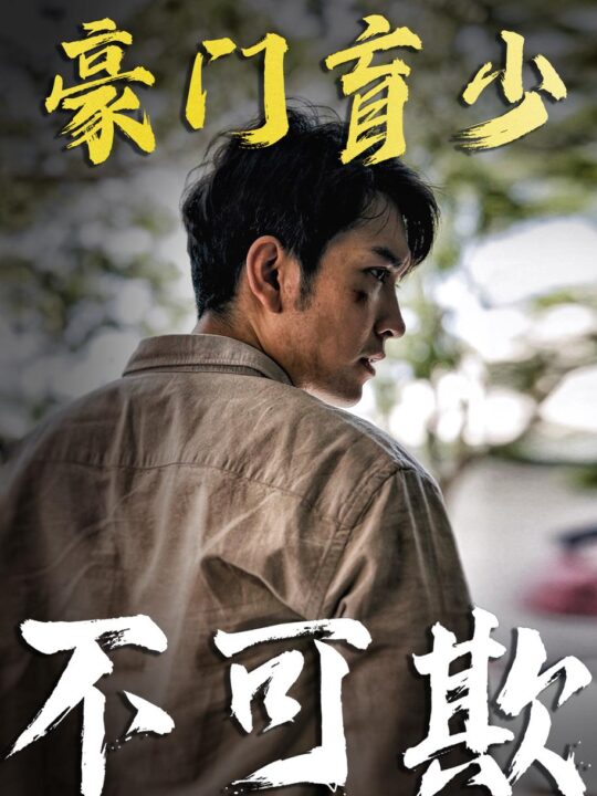 0768-豪门盲少不可欺(93集)