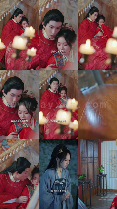 0266-王爷别虐了王妃已改嫁