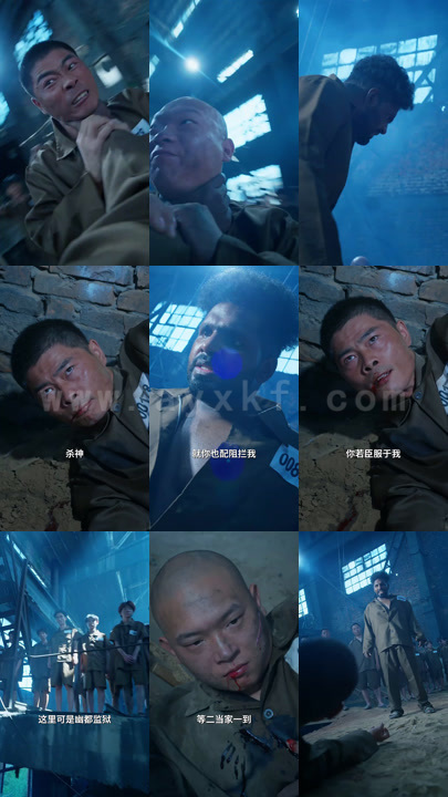 分集版第二季