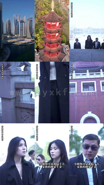 0882-风水神婿(102集)