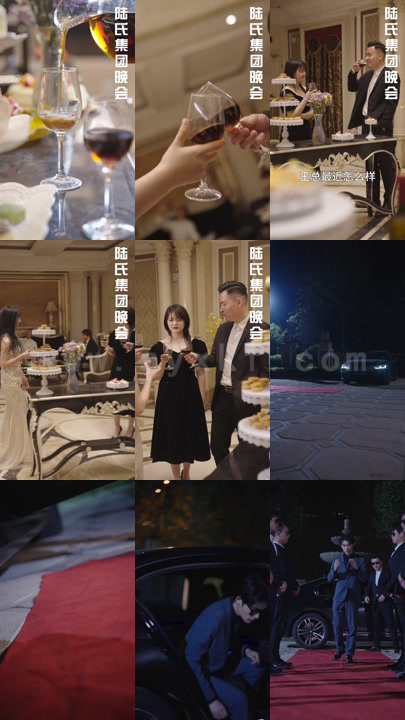 0236-一夜惊喜-陆总的闪婚甜妻