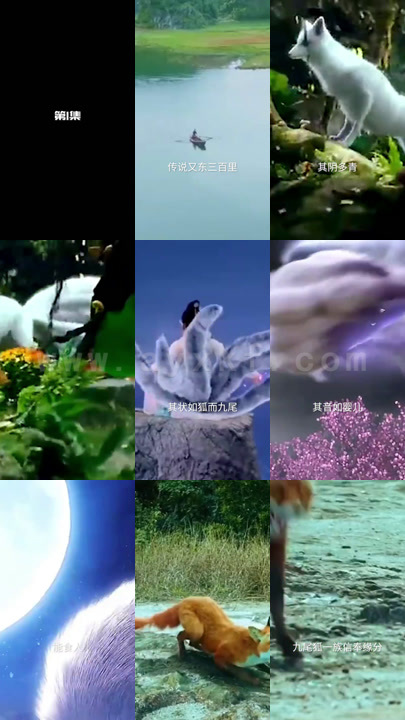 0780-狐狸的诱惑 内容图1 一个实时收录全网最齐全的短视频短剧网剧小剧场的网站! 0780-狐狸的诱惑 最新 图1张