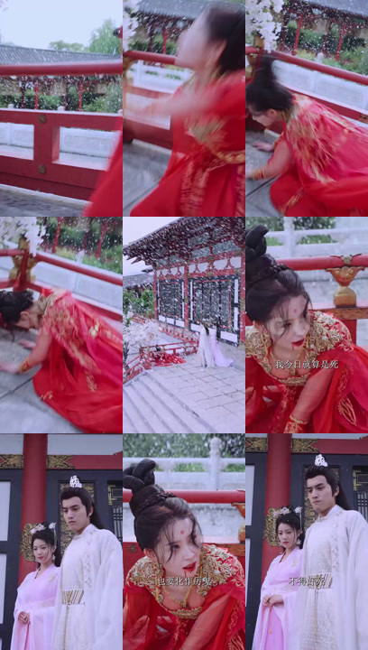 0795-宸王的复仇王妃