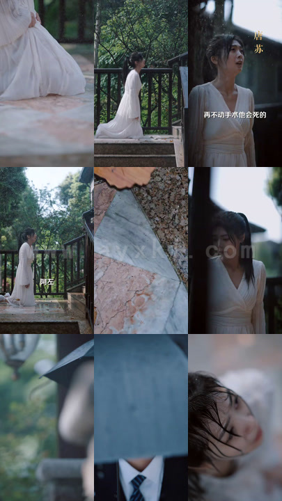 0315-他说爱情已迟暮(97集)