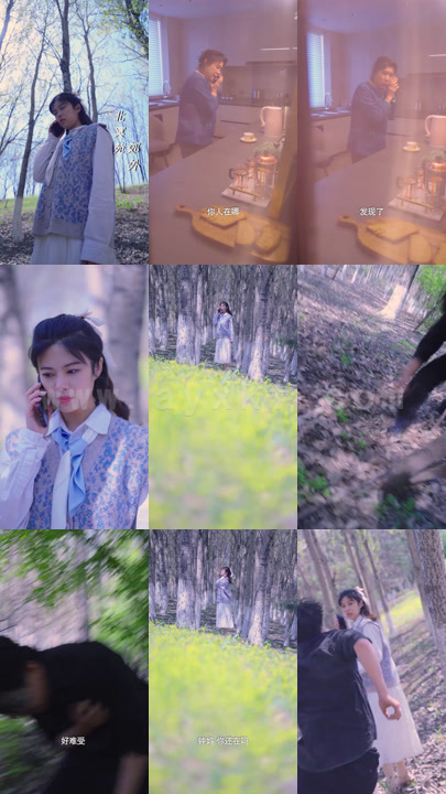 0880-仇少妻子的秘密(80集)