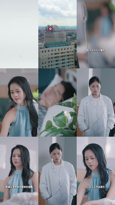 0898-夺权后傅总反复被虐(80集)