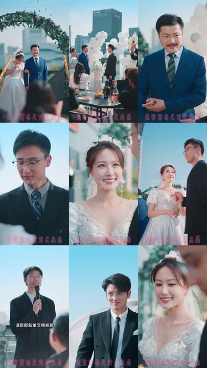 南总合集 最新 图1张