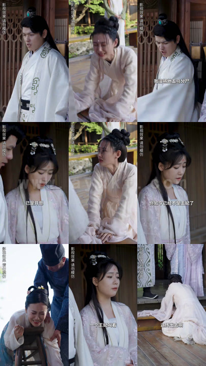 0237-一纸休书-王妃她不爱了(100集)