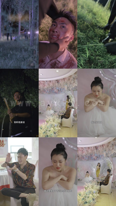 0639-通天战婿(120集) 内容图1 一个实时收录全网最齐全的短视频短剧网剧小剧场的网站! 0639-通天战婿(120集) 最新 图1张