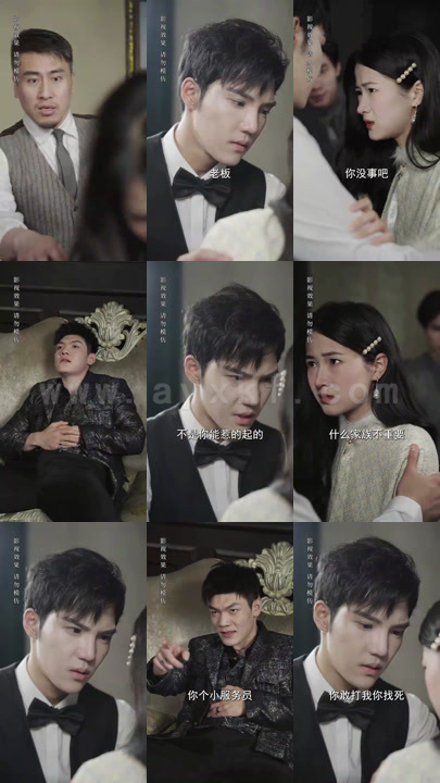 0481-报告少帅-夫人有危险(99集)