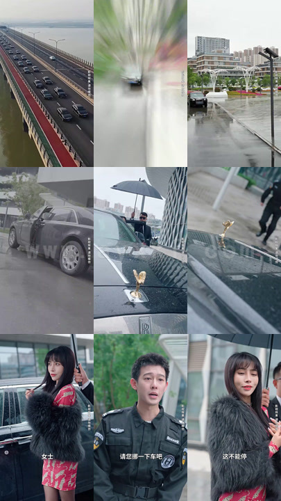 0693-龙王的冰山女总裁