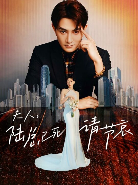 8069-夫人-陆总已死请节哀(95集)