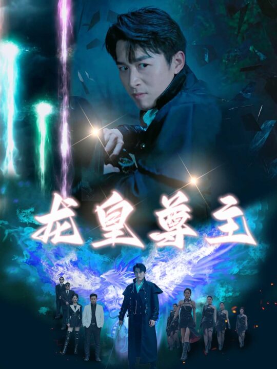 7628-龙皇尊主(80集)