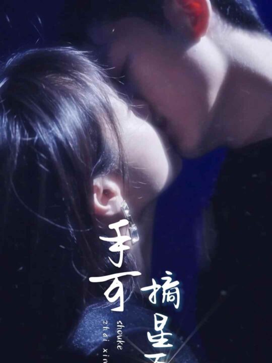 8016-手可摘星辰(80集)