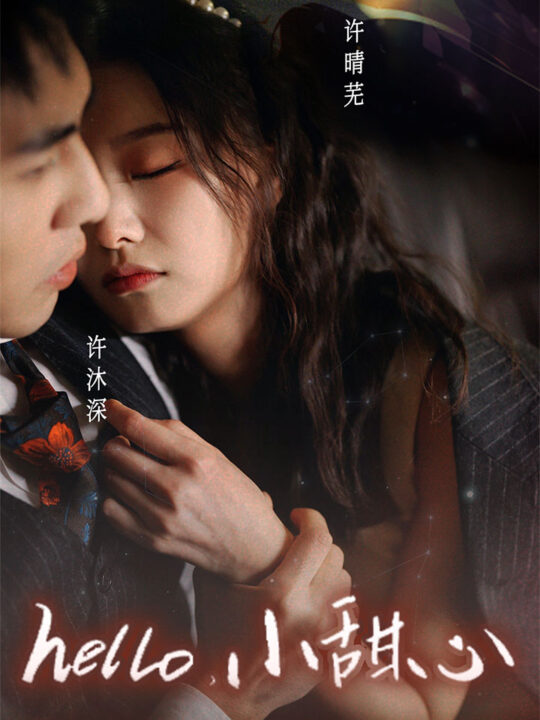 8060-新-hello-小甜心(99集)