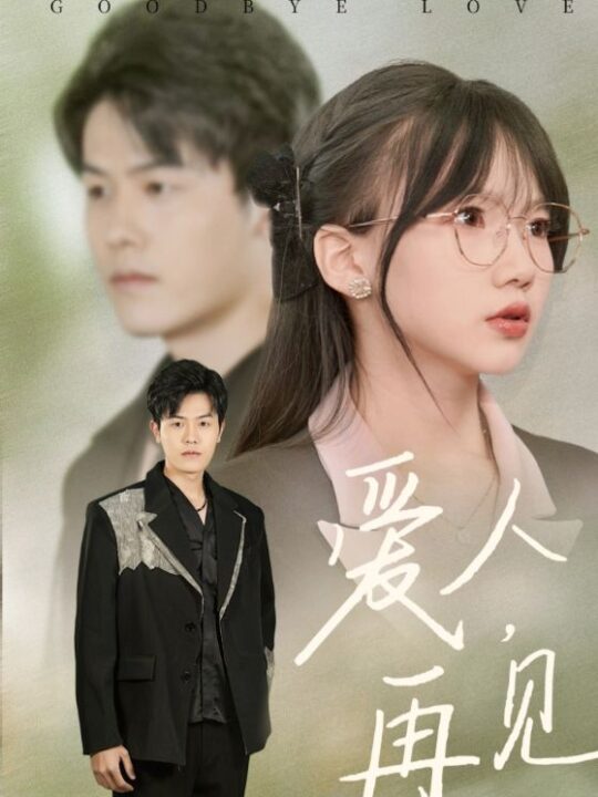 16565-爱人再见(52集)