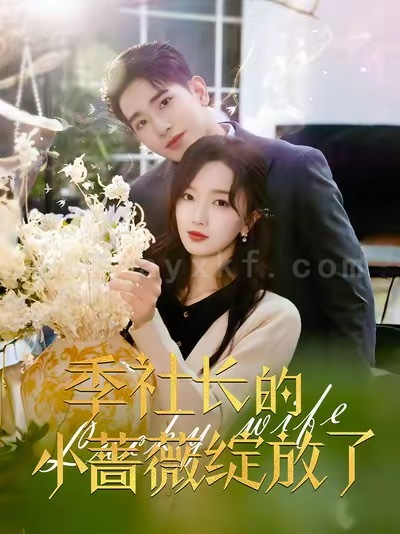 16920-季社长的小蔷薇绽放了(60集)王浩翔＆郭知爻