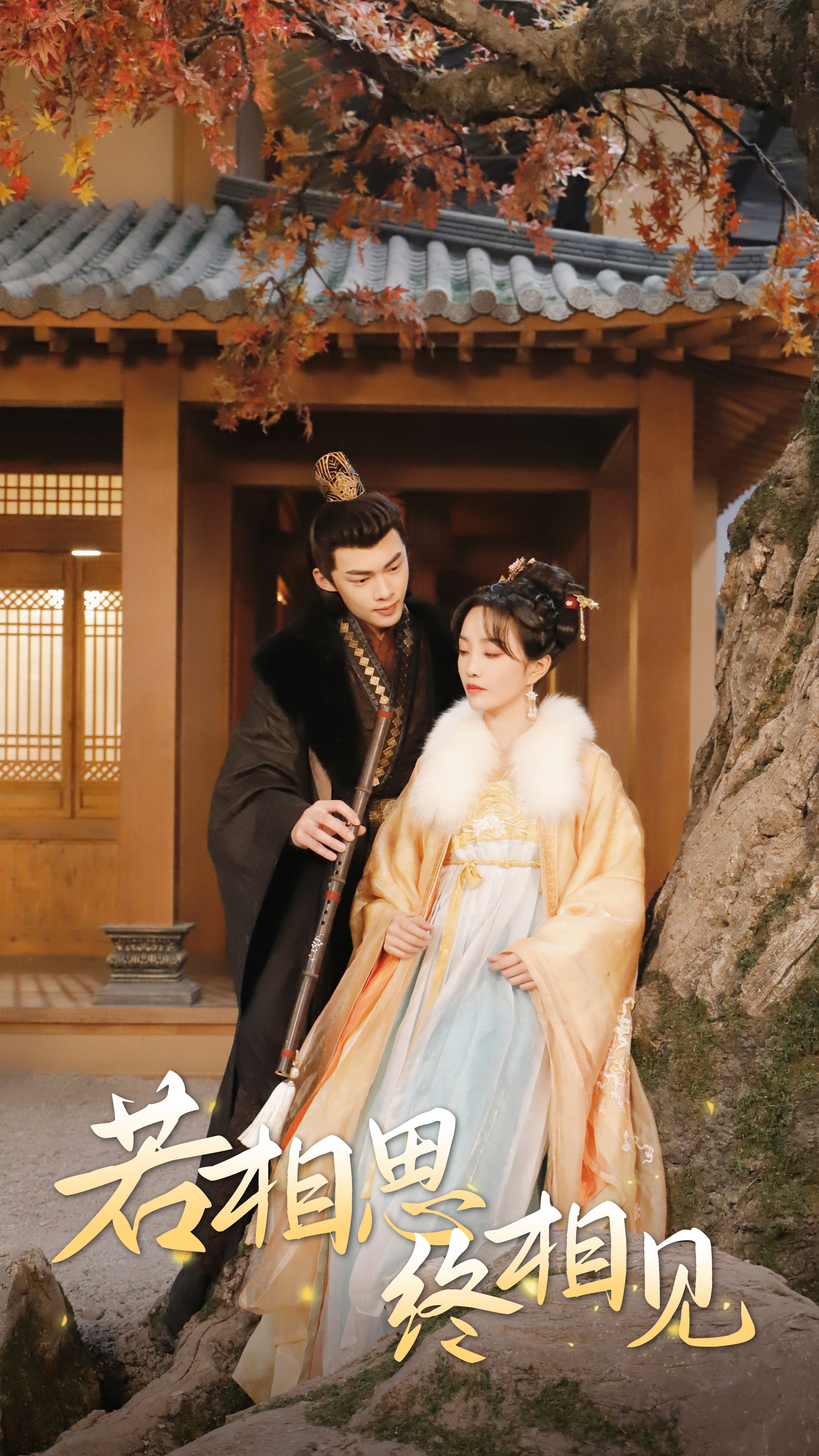 8028-若相思-终相见-侯爷的双世小悍妻(85集) 内容图1 一个实时收录全网最齐全的短视频短剧网剧小剧场的网站! 8028-若相思-终相见-侯爷的双世小悍妻(85集) 最新 图1张