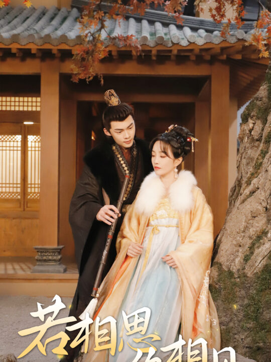 8028-若相思-终相见-侯爷的双世小悍妻(85集)