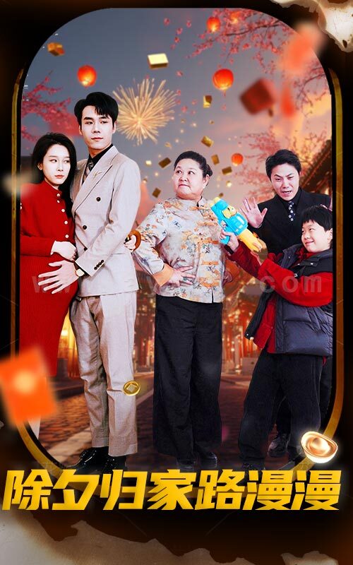 17075-除夕归家路漫漫(35集) 最新 图1张