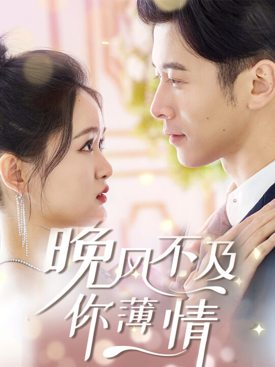 17049-晚风不及你薄情(85集)