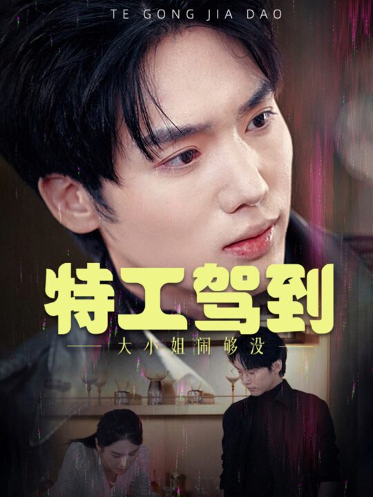 16894-特工驾到大小姐闹够没-特工驾到大小姐别闹了(40集)韩江宇