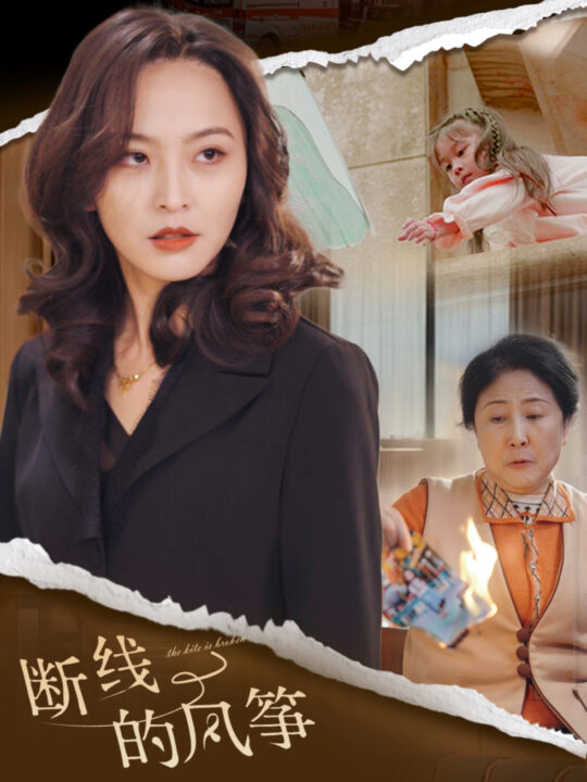 16907-断线的风筝(30集)