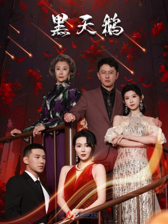 17057-黑天鹅(51集)孔莹莹