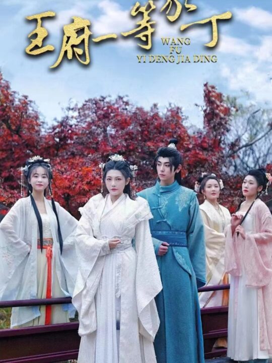 8030-王府一等家丁(93集)穿越剧