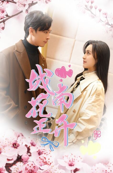 7959-城南花正开(92集)