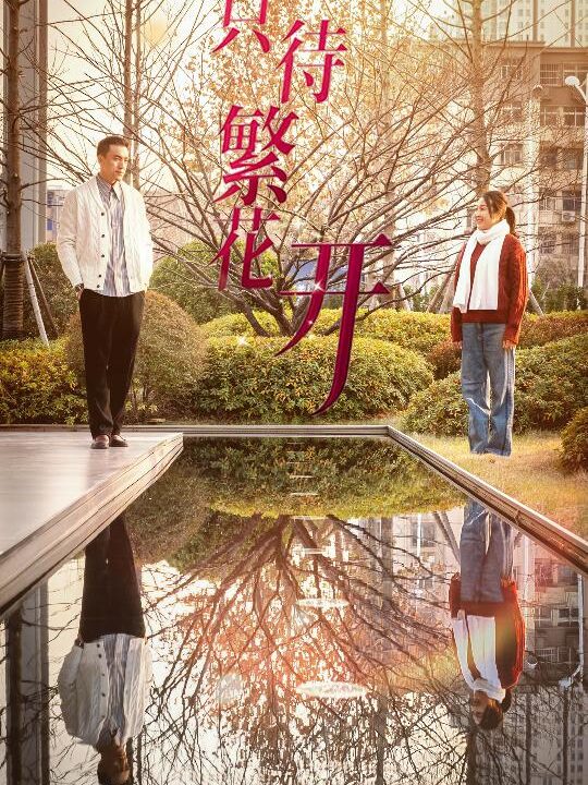 17070-只待繁花开(35集)