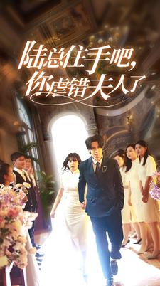 7857-陆总住手吧-你虐错夫人了(80集)