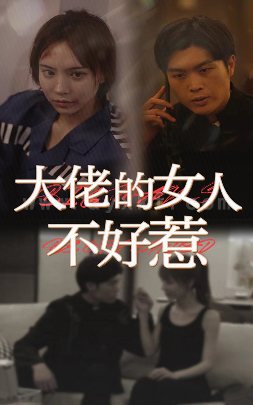 7753-大佬女人不好惹(92集) 最新 图1张