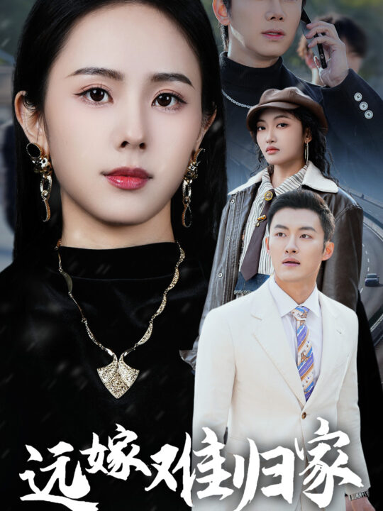 16568-远嫁难归家(32集)