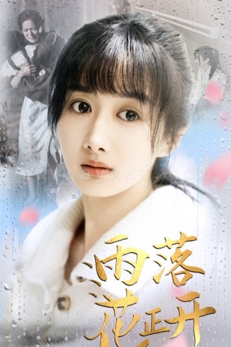 7874-雨落花正开(62集)