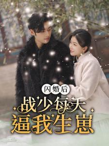 7691-闪婚后战少每天逼我生崽(91集)林籽蓉