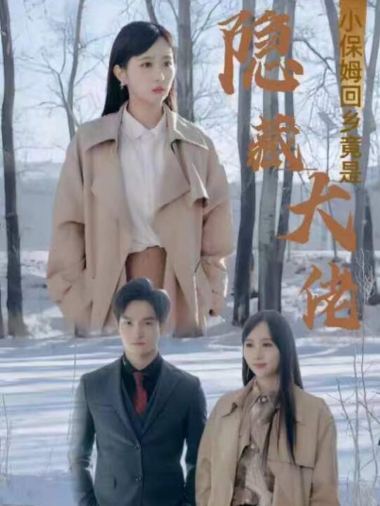 7503-小保姆回乡竟是隐藏大佬(80集)