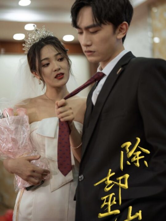 17058-除却巫山(80集)