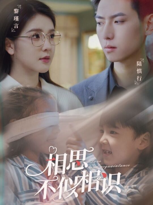 7903-相思不似相识(101集)