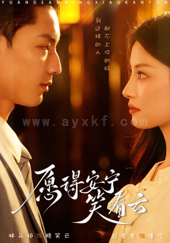 17063-愿得安宁笑看云(78集)林永炬 最新 图1张