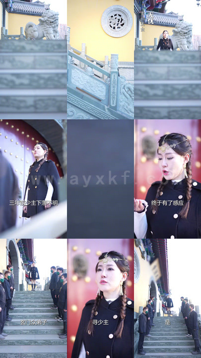 7713-玄门龙婿(100集)