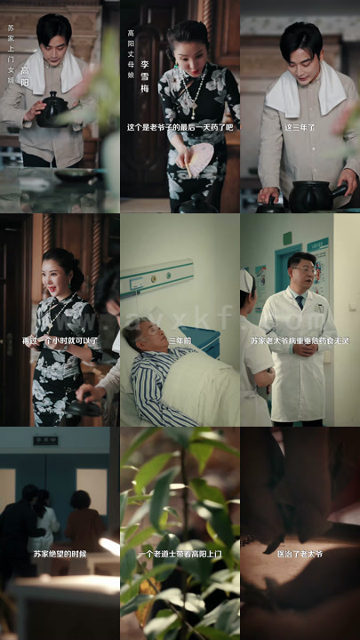 0146-无敌龙婿(97集)