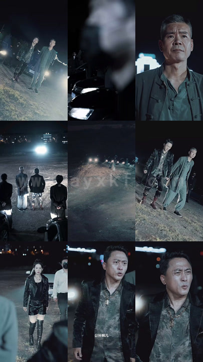 7445-龙城飞将(85集)