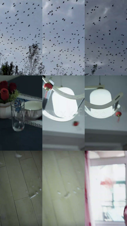 7988-开局预测地震我成为全球救世主(67集)赵慧楠 内容图1 一个实时收录全网最齐全的短视频短剧网剧小剧场的网站! 7988-开局预测地震我成为全球救世主(67集)赵慧楠 最新 图1张