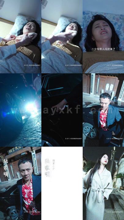 7973-谁偷走了我的人生(一生所爱)(60集) 最新 图1张