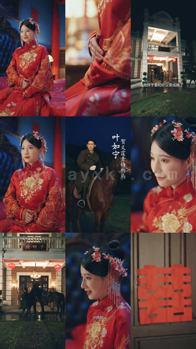 0192-爱你似毒药入骨(100集)