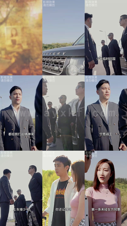 7890-新-上门豪婿(45集)