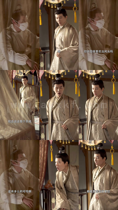 0160-史上最强太子爷(101集)